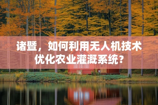 诸暨，如何利用无人机技术优化农业灌溉系统？