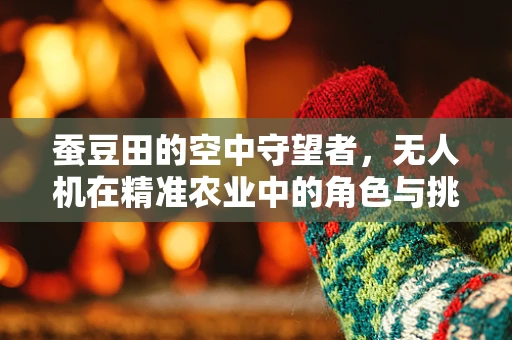 蚕豆田的空中守望者，无人机在精准农业中的角色与挑战