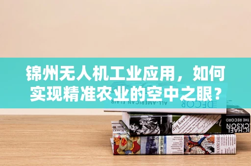 锦州无人机工业应用，如何实现精准农业的空中之眼？