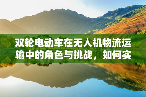 双轮电动车在无人机物流运输中的角色与挑战，如何实现无缝对接？