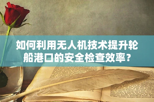 如何利用无人机技术提升轮船港口的安全检查效率？