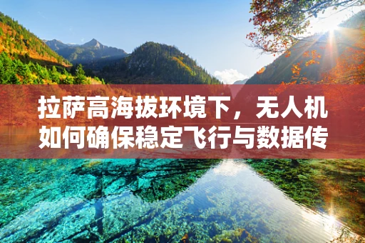 拉萨高海拔环境下，无人机如何确保稳定飞行与数据传输？