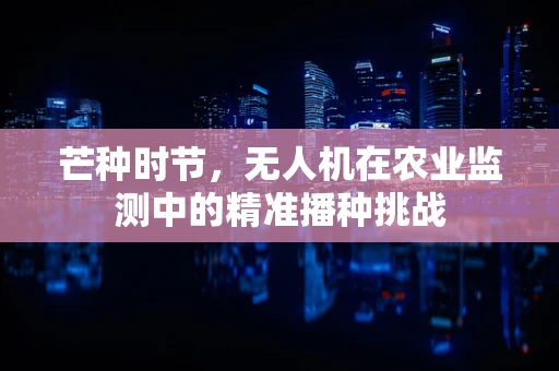 芒种时节，无人机在农业监测中的精准播种挑战
