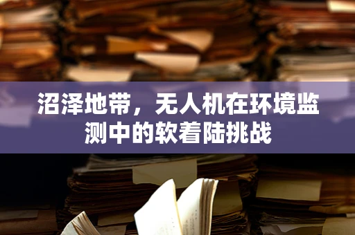 沼泽地带，无人机在环境监测中的软着陆挑战