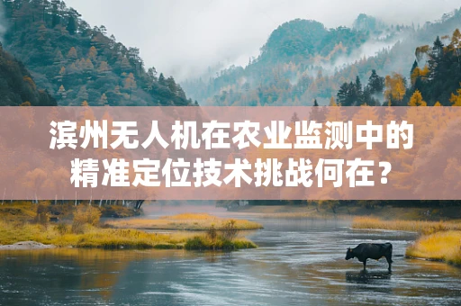 滨州无人机在农业监测中的精准定位技术挑战何在？