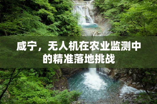 咸宁，无人机在农业监测中的精准落地挑战