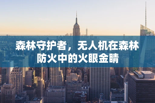 森林守护者，无人机在森林防火中的火眼金睛