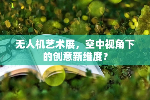无人机艺术展，空中视角下的创意新维度？
