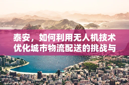 泰安，如何利用无人机技术优化城市物流配送的挑战与机遇？