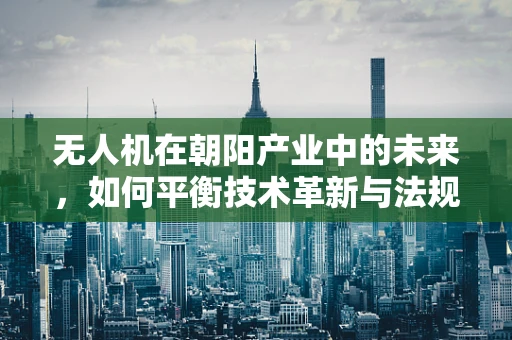 无人机在朝阳产业中的未来，如何平衡技术革新与法规监管？