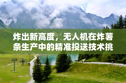 炸出新高度，无人机在炸薯条生产中的精准投送技术挑战