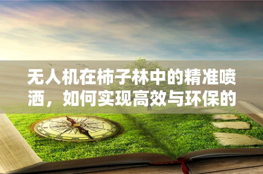 无人机在柿子林中的精准喷洒，如何实现高效与环保的平衡？