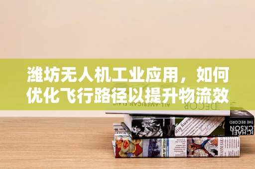 潍坊无人机工业应用，如何优化飞行路径以提升物流效率？