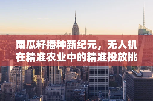 南瓜籽播种新纪元，无人机在精准农业中的精准投放挑战