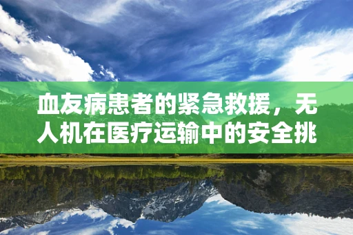 血友病患者的紧急救援，无人机在医疗运输中的安全挑战与解决方案