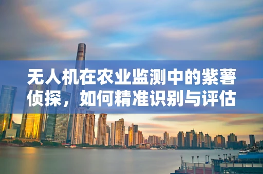 无人机在农业监测中的紫薯侦探，如何精准识别与评估紫薯作物健康？
