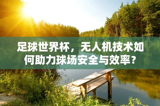 足球世界杯，无人机技术如何助力球场安全与效率？