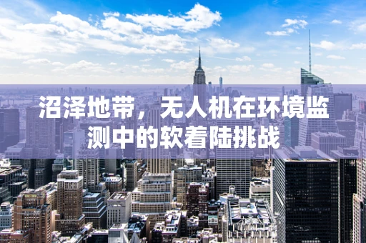 沼泽地带，无人机在环境监测中的软着陆挑战