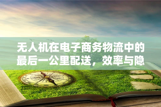 无人机在电子商务物流中的最后一公里配送，效率与隐私的平衡挑战