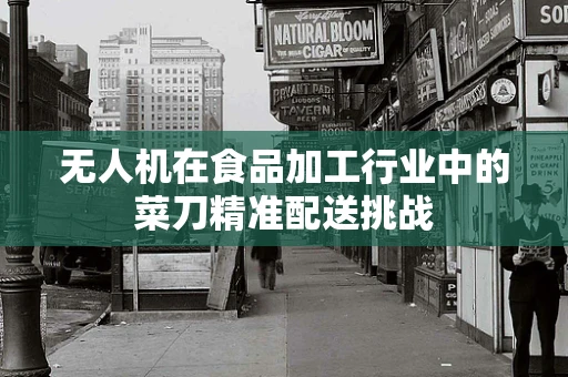 无人机在食品加工行业中的菜刀精准配送挑战