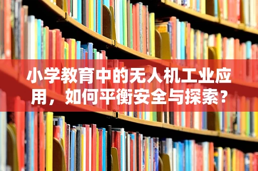 小学教育中的无人机工业应用，如何平衡安全与探索？