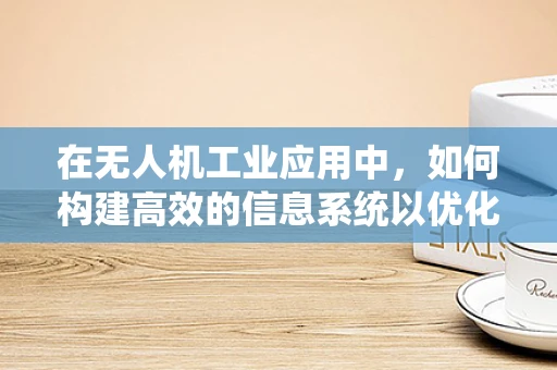 在无人机工业应用中，如何构建高效的信息系统以优化任务执行？