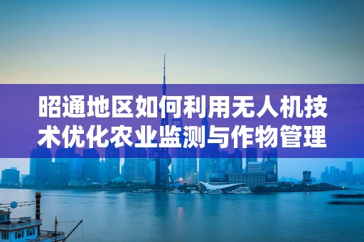 昭通地区如何利用无人机技术优化农业监测与作物管理？