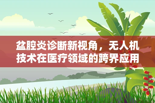 盆腔炎诊断新视角，无人机技术在医疗领域的跨界应用？