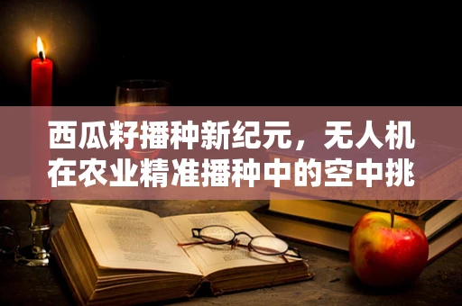 西瓜籽播种新纪元，无人机在农业精准播种中的空中挑战
