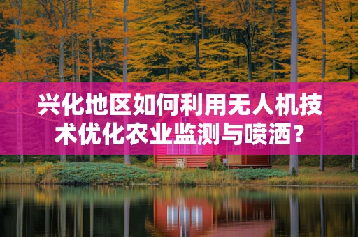 兴化地区如何利用无人机技术优化农业监测与喷洒？