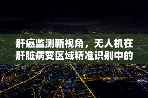 肝癌监测新视角，无人机在肝脏病变区域精准识别中的应用挑战