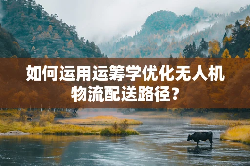 如何运用运筹学优化无人机物流配送路径？