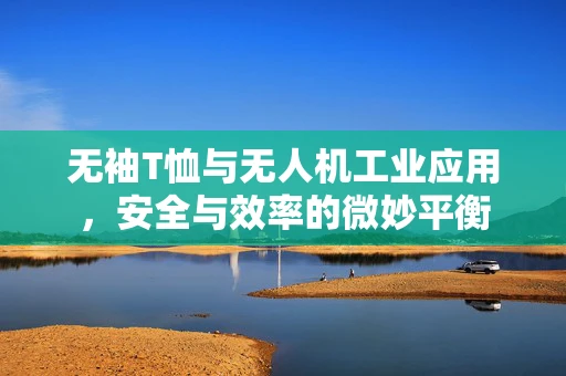 无袖T恤与无人机工业应用，安全与效率的微妙平衡