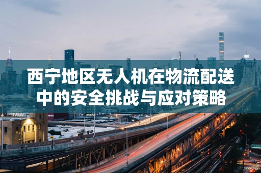 西宁地区无人机在物流配送中的安全挑战与应对策略