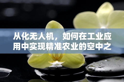 从化无人机，如何在工业应用中实现精准农业的空中之眼？