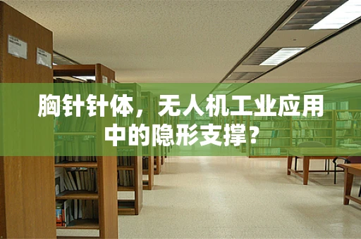 胸针针体，无人机工业应用中的隐形支撑？