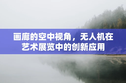 画廊的空中视角，无人机在艺术展览中的创新应用
