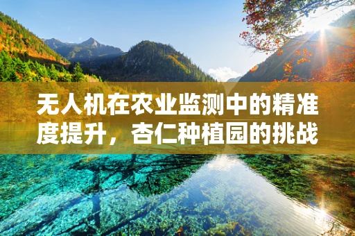 无人机在农业监测中的精准度提升，杏仁种植园的挑战与解决方案？