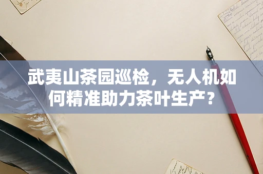 武夷山茶园巡检，无人机如何精准助力茶叶生产？
