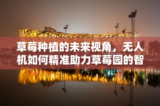 草莓种植的未来视角，无人机如何精准助力草莓园的智慧化管理？