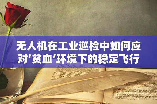 无人机在工业巡检中如何应对‘贫血’环境下的稳定飞行？