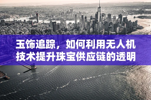 玉饰追踪，如何利用无人机技术提升珠宝供应链的透明度？