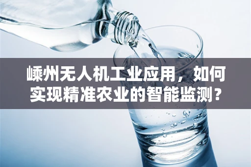 嵊州无人机工业应用，如何实现精准农业的智能监测？