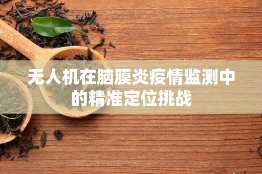 无人机在脑膜炎疫情监测中的精准定位挑战