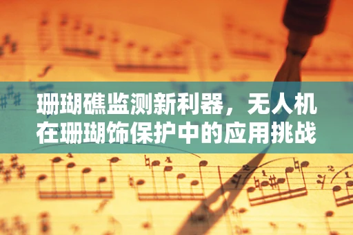 珊瑚礁监测新利器，无人机在珊瑚饰保护中的应用挑战与机遇？