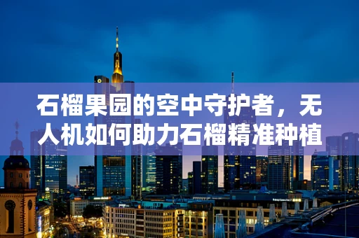 石榴果园的空中守护者，无人机如何助力石榴精准种植与监测？