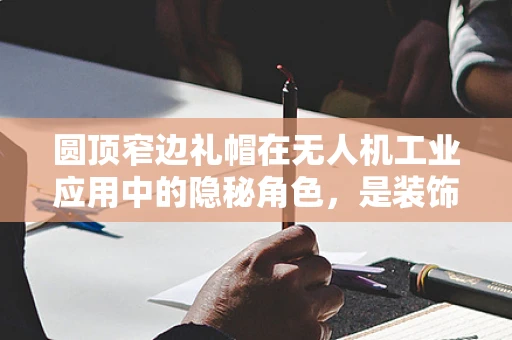 圆顶窄边礼帽在无人机工业应用中的隐秘角色，是装饰还是功能？