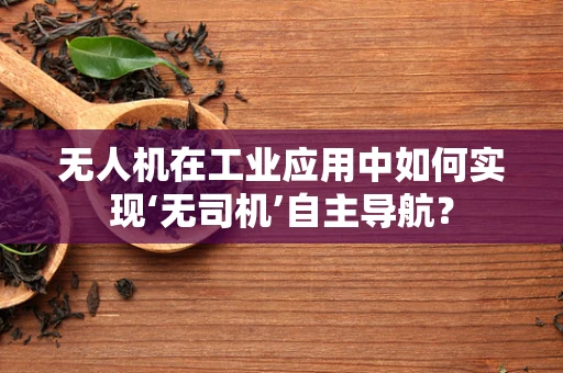 无人机在工业应用中如何实现‘无司机’自主导航？