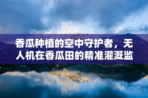香瓜种植的空中守护者，无人机在香瓜田的精准灌溉监测中扮演什么角色？