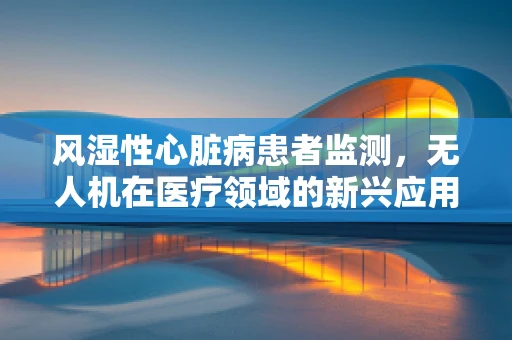 风湿性心脏病患者监测，无人机在医疗领域的新兴应用挑战？